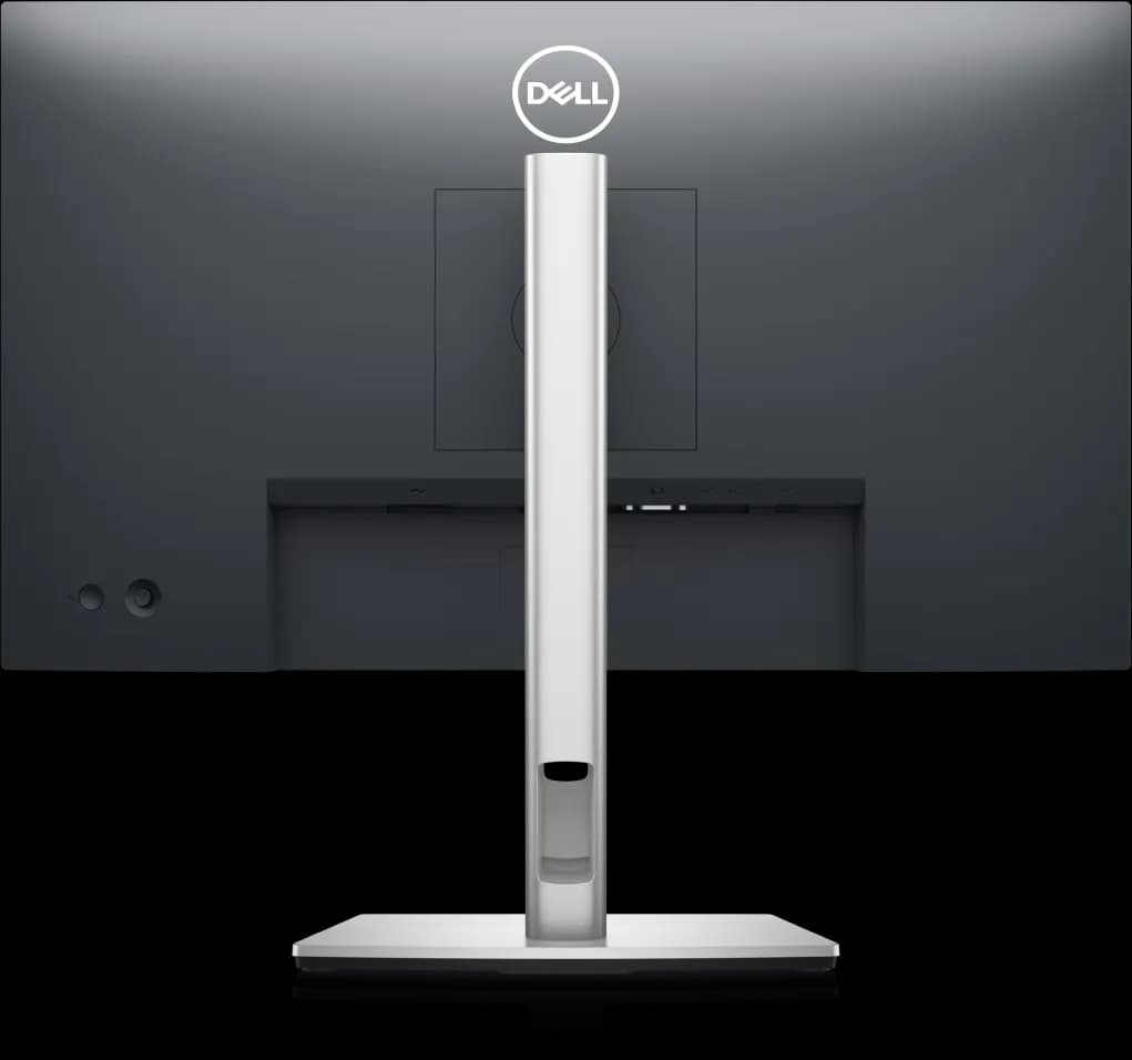 Dell P2422H